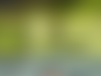 Action: The Foundational Key to All Success 🌟