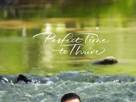 Action: The Foundational Key to All Success 🌟