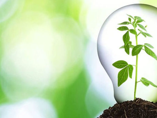 5 ways to make 2019 a greener one