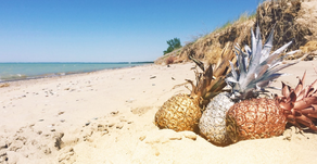 Planning an Australian adventure? Here's where to go...