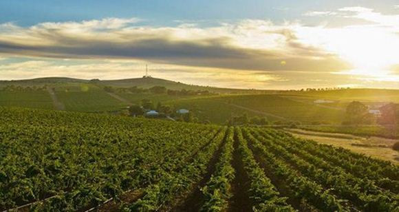 barossa valley