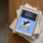 Edgar Allan Poe, classic novel, poetry, gothic, the raven, the works of, ebook, paperback, readers, book rec, old book, lit