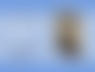 author interview, book article, author, writer, book interview, book tour, author interview, apollo imperium, romance novel, Holleigh Rae author interview, military romance novel, force recon series, christian romance, christian suspense, small town romance, protective hero, childhood sweethearts, found family, faith and war