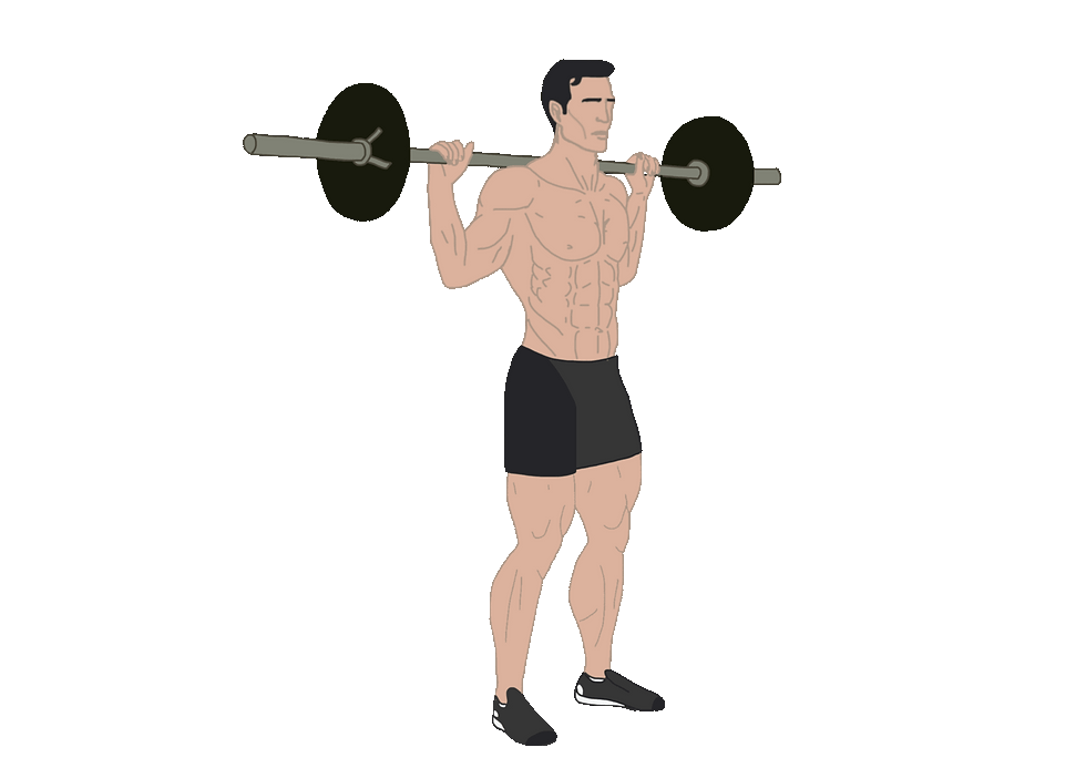 squat, how to squat, barbell squat, workout gif, how to exercise, This workout is designed to hit your quads, hamstrings, glutes, and calves hard, with big compound lifts like the squat and deadlift leading the charge. These movements are not just about building massive legs, but about overall strength and power that translate to real-world performance.