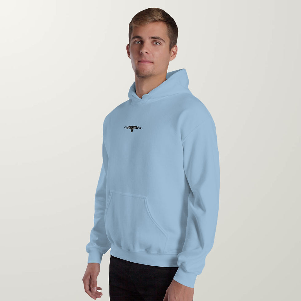 Thumbnail: Edgar allan poe, hoodie, poe hoodie, literature, classic novel, bookish clothes, soft hoodie, blue hoodie, embroidered
