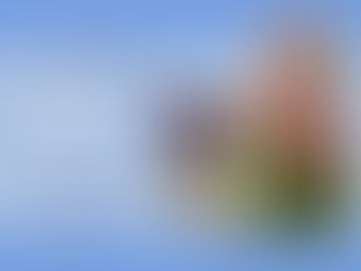 author interview, book article, author, writer, book interview, book tour, author interview, apollo imperium, romance novel, trauma, sweet romance, bad boy romance book, symbolism, Mika C.C., writing