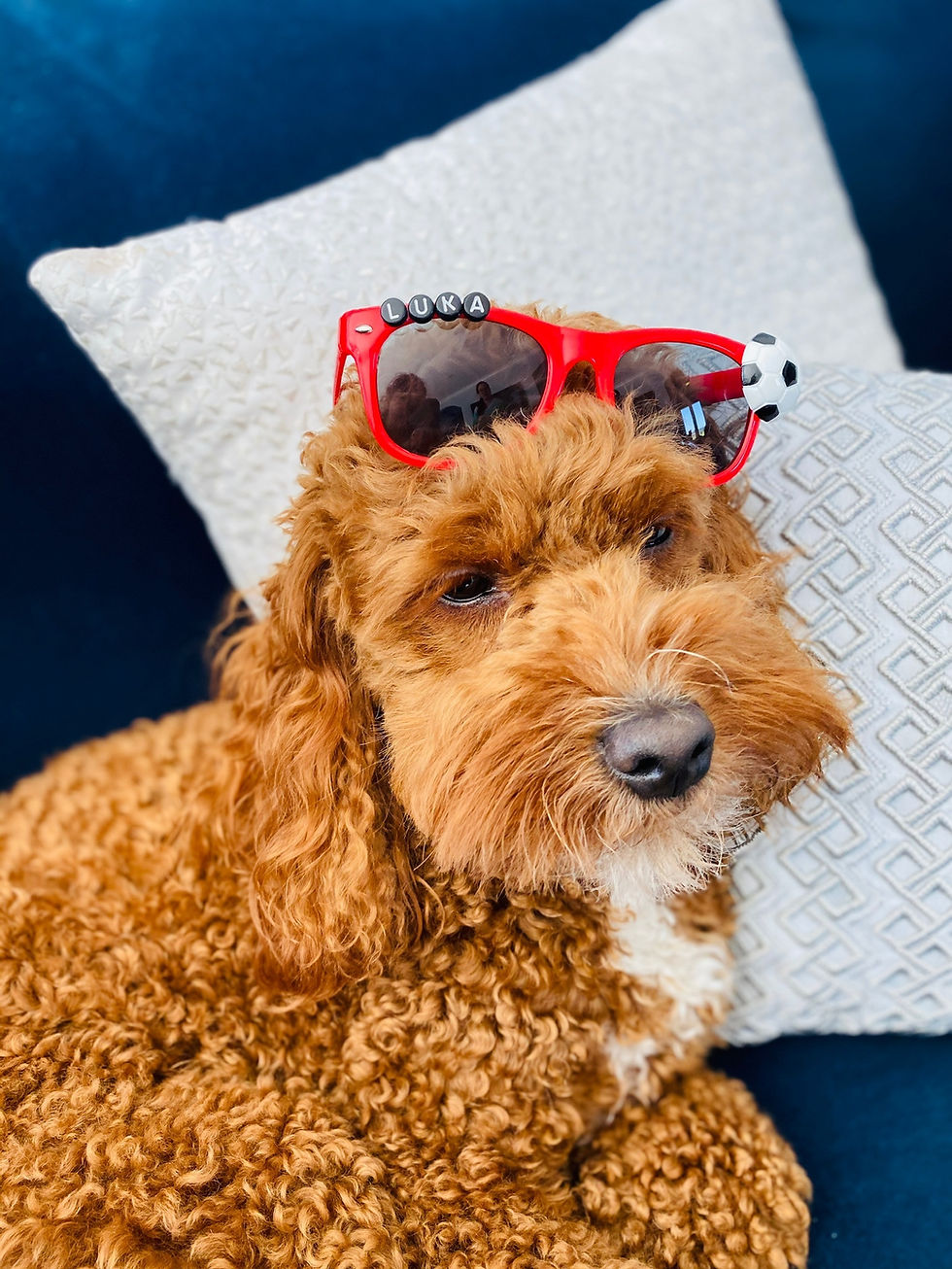 Thumbnail: Classic Sunnies