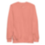 Thumbnail: Learn Embroidered Sweatshirt
