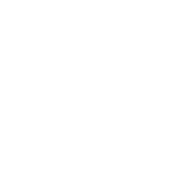 Anine Bing fashion logo featuring a circular AB monogram above the brand name in white text on a black background