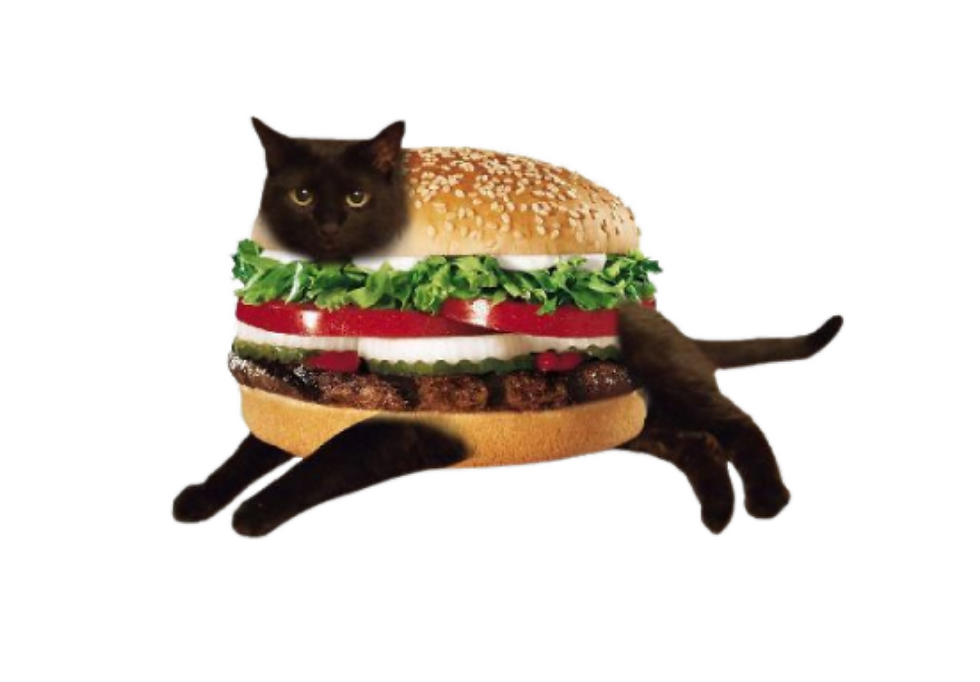 gato hamburguesa.png