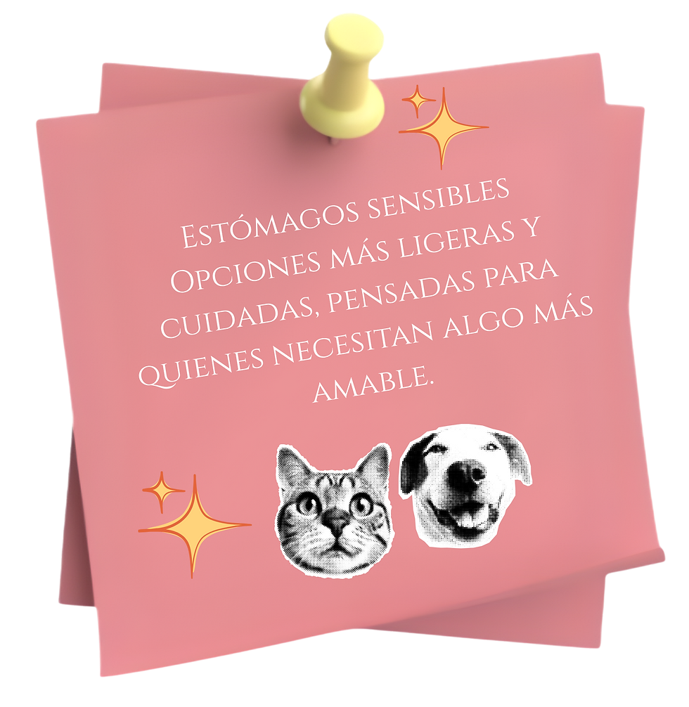 seccion 1.png