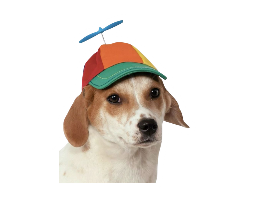 perrito pagina web.png