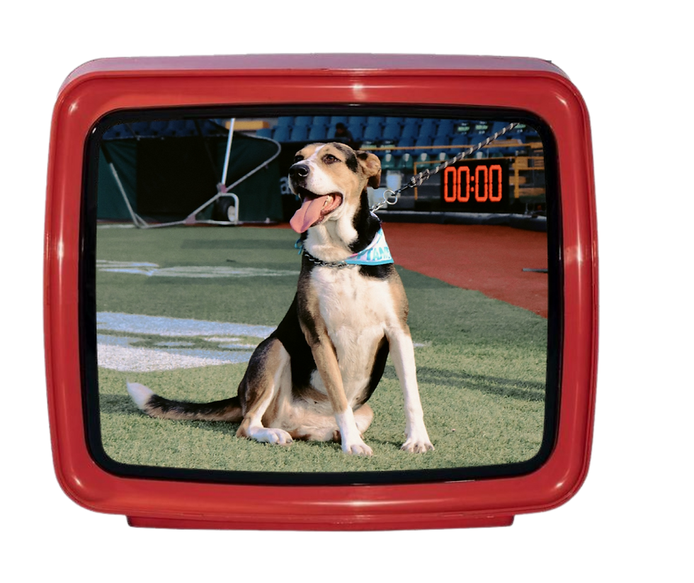 television 3.png
