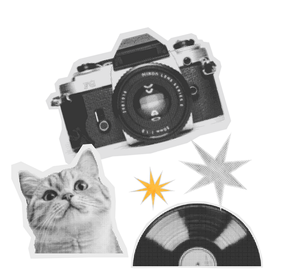 gallery imagen 3.png