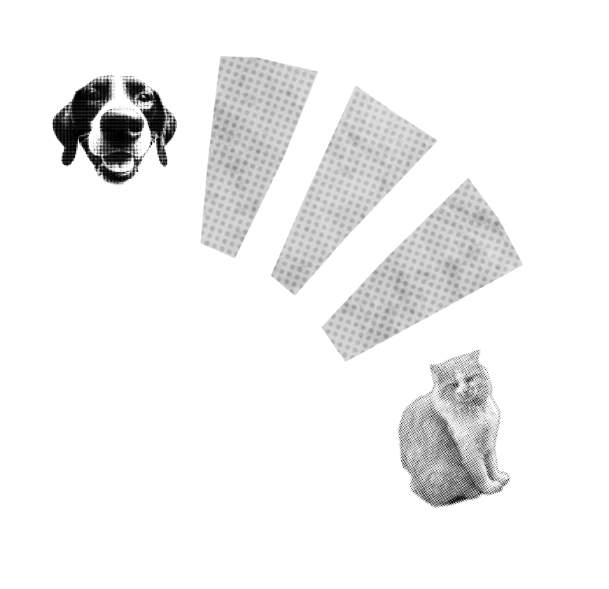 gallery imagen 5.png