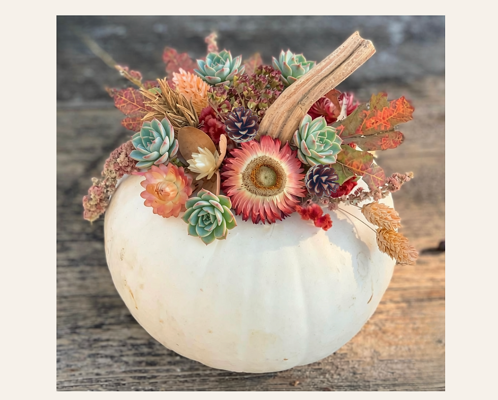 Succulent & Dried Flower Pumpkins $42