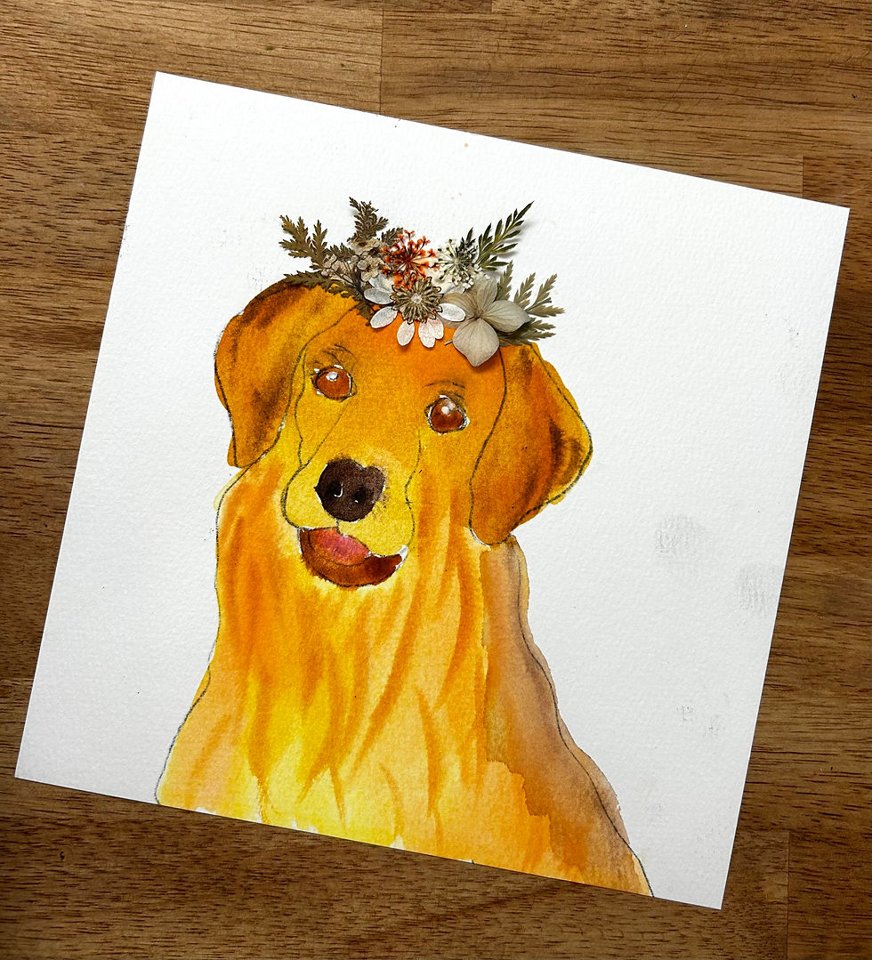 Custom Paint Your Pet - No Experience Needed! $39