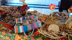 IMG_20140701_114633581_-_Cópia