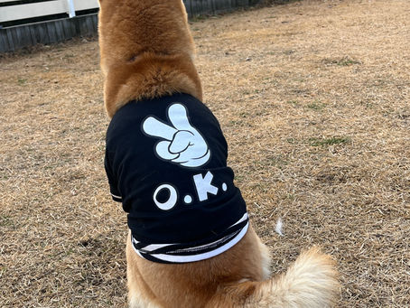 しばらくのお別れ