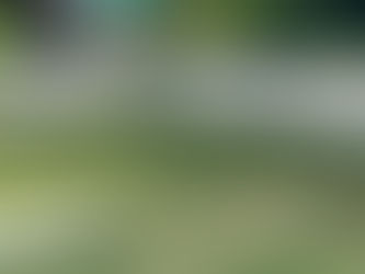 ワンコもグループ化⁈