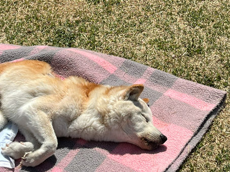 実は・・・ティムさんが・・・