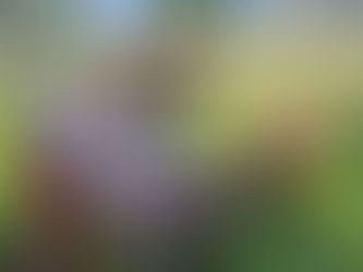 これは、きつい・・・