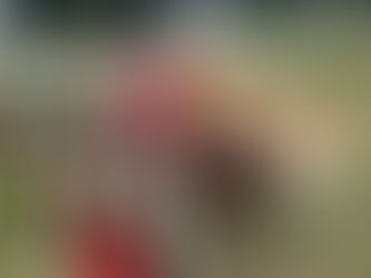 19歳ティムさんの新しい車いす