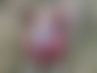 キリっとイケメン玉太郎さん3歳