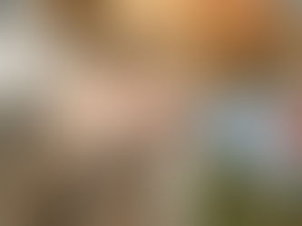 トイプーアキラさん14歳と 保護犬 秋田犬 初(ハツ)