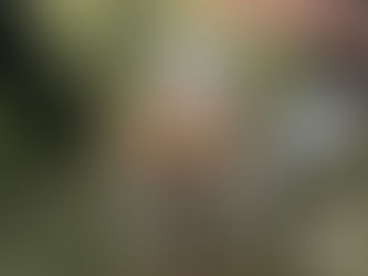 ここのところ、急に・・・