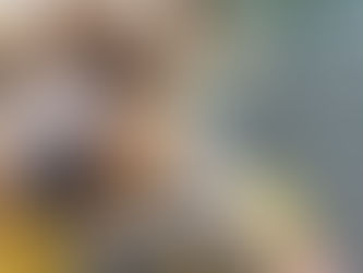 全く鳴かない・・・って。