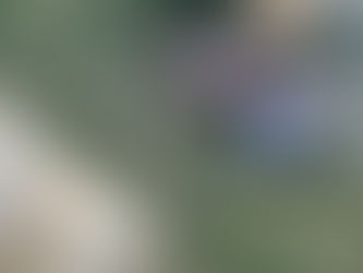 なんで鳴き止むのかな・・・ワイガヤ(*^。^*)