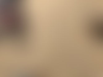 理想の預かり施設