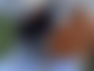 緊急お預かり・・・