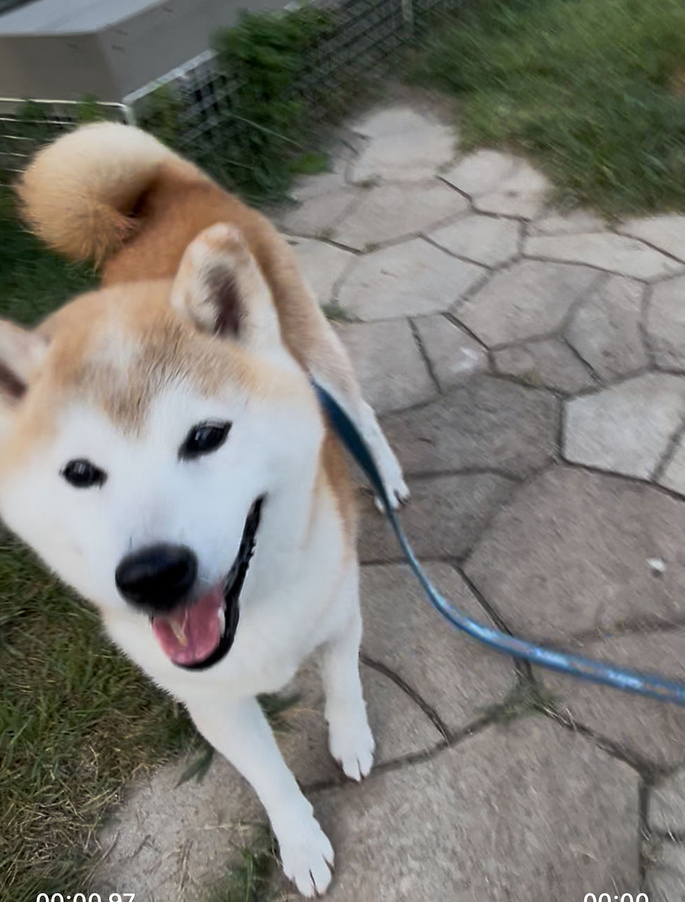 久々の龍太郎さん