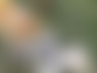 親子でお泊り 母と息子 ( ´∀` )