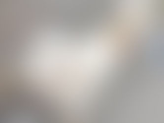 ４年経っても変わらないもの