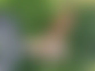 目が見えなくても安心できる場所に…