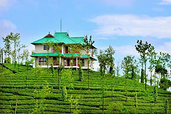 Inland Kerala Holiday Munnar Moonnar Package