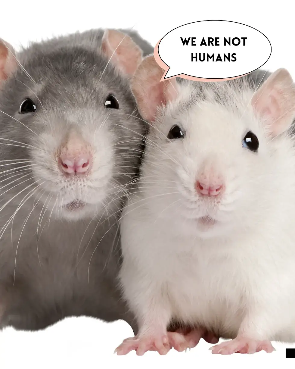 rats saying we are not human
