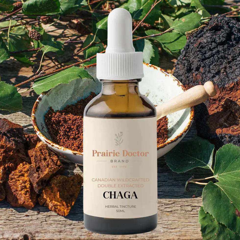 Prairie Doctor Organics Chaga Mushroom Tincture (Double Extracted)