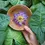Thumbnail: Blue Lotus flower