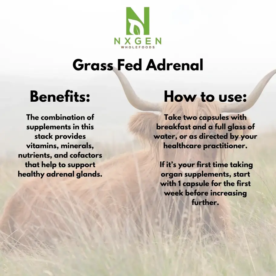 NXGEN Wholefoods Grass-Fed Beef Adrenal suggested use