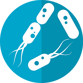 bacteria-icon-2316230_1280 (1).png