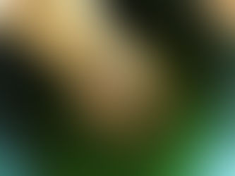 A chasen whisk in a bowl of frothy green matcha tea. The setting is calm, with earthy tones and a smooth texture in the background.