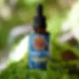 Wild Remedies Wild Harvest Turkey Tail Mushroom Extract