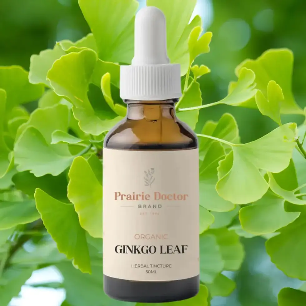 Prairie Doctor Organic Stinging Nettle Leaf Tincture