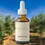 Thumbnail: Prairie Doctor Organic Olive Leaf Tincture