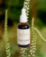 Prairie Doctor Organic Black Cohosh Tincture