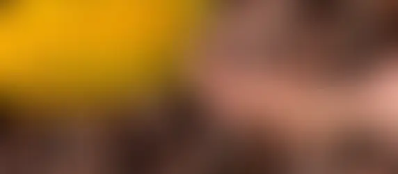 Cacao pods and beans